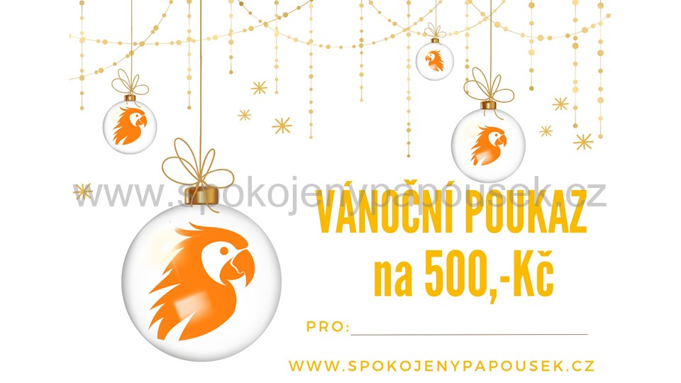 Vánoční poukaz na 500,- Kč